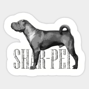 Shar-Pei Sticker